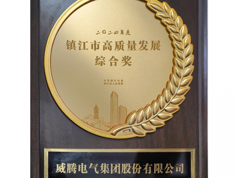 喜讯│新葡的京集团350vip8888荣获2024年度镇江市高质量生长综合奖